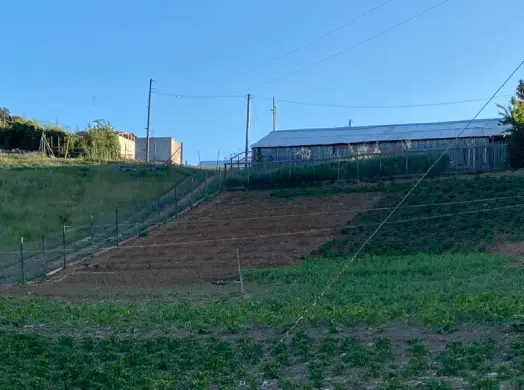 Terreno en el sur de Chile