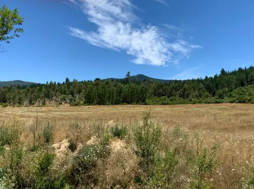 Terreno en el sur de Chile