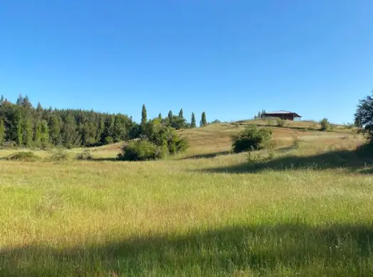 Terreno en el sur de Chile