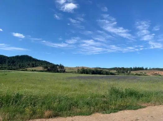 Terreno en el sur de Chile