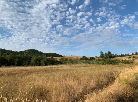 Terreno en el sur de Chile