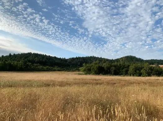 Terreno en el sur de Chile
