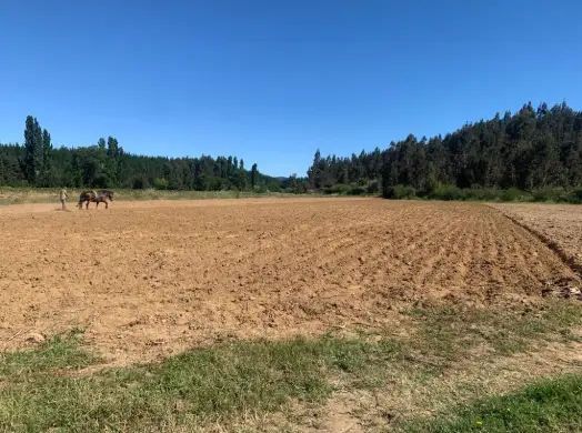 Terreno en el sur de Chile