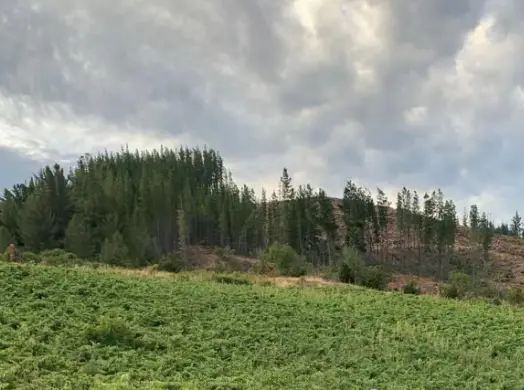 Piedra Hermosa 3 (1)